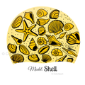 Úszósapka Mintás Limited Design - Shell - prémium szilikon úszósapka, kényelmes viselet, tartós úszófelszerelés, vízi sportok, felnőtt úszósapka, sport úszófelszerelés